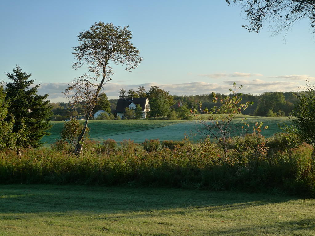 Forest Haven Inn Tatamagouche Екстериор снимка